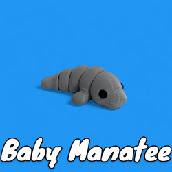 Baby Manatee