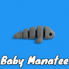 Baby Manatee