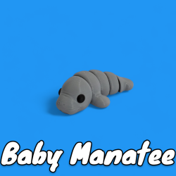 Baby Manatee