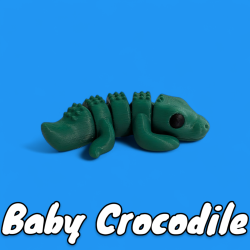 Baby Crocodile