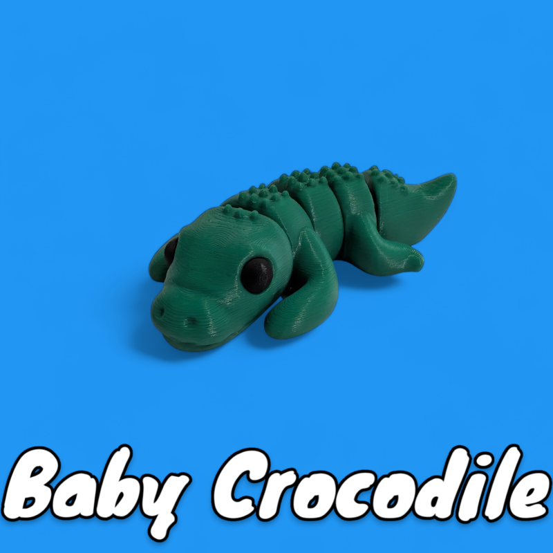 Baby Crocodile