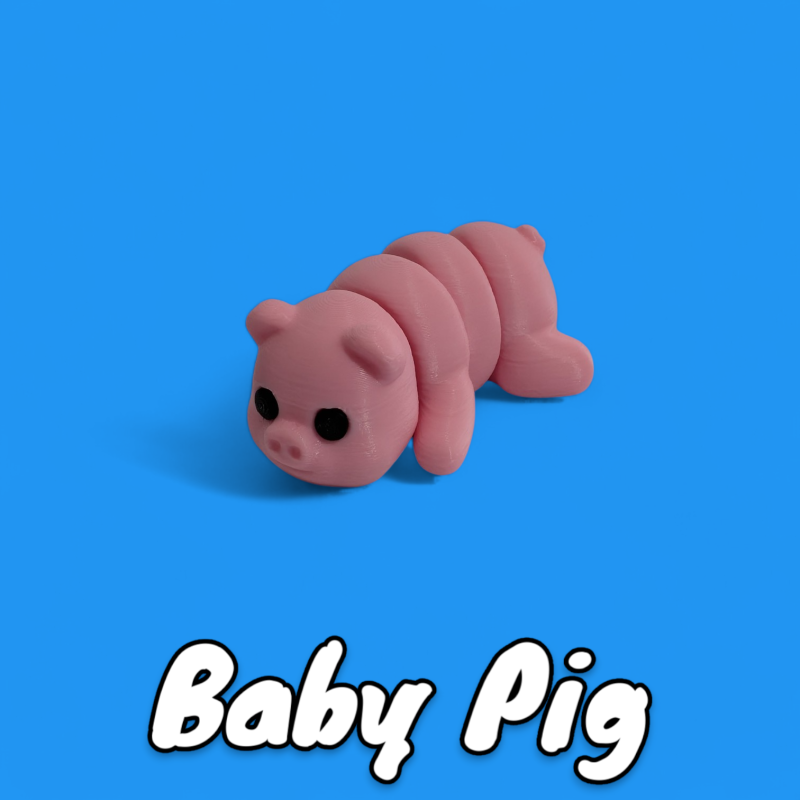 Baby Pig