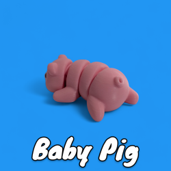 Baby Pig